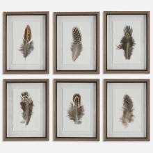 Uttermost 41460 - Uttermost Birds of a Feather Framed Prints, S/6