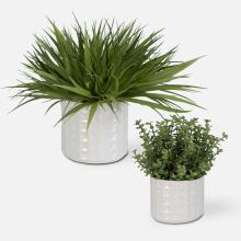 Uttermost 60211 - Uttermost Edgewood Greenery, S/2