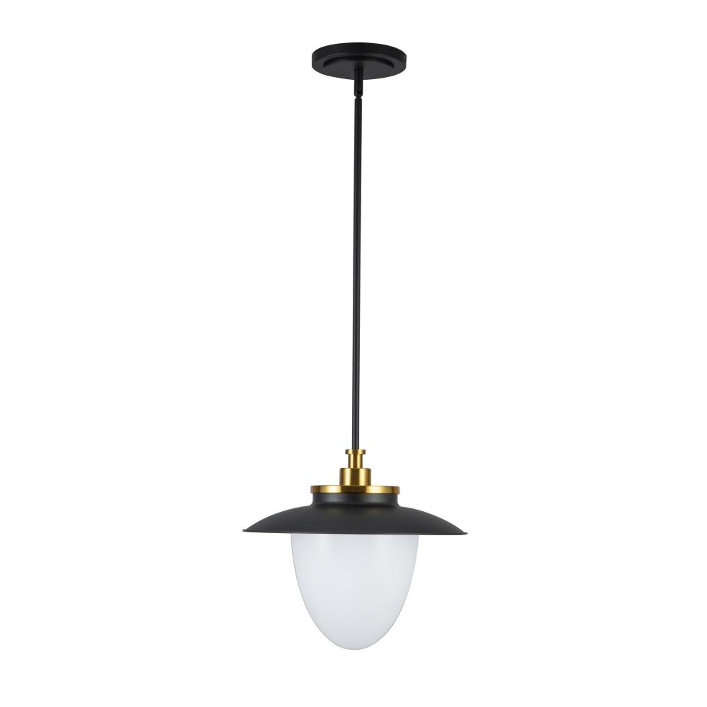 Dahlia 1 Light Pendant 15&#34;, Black