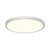 GEOS Flush Mount Light