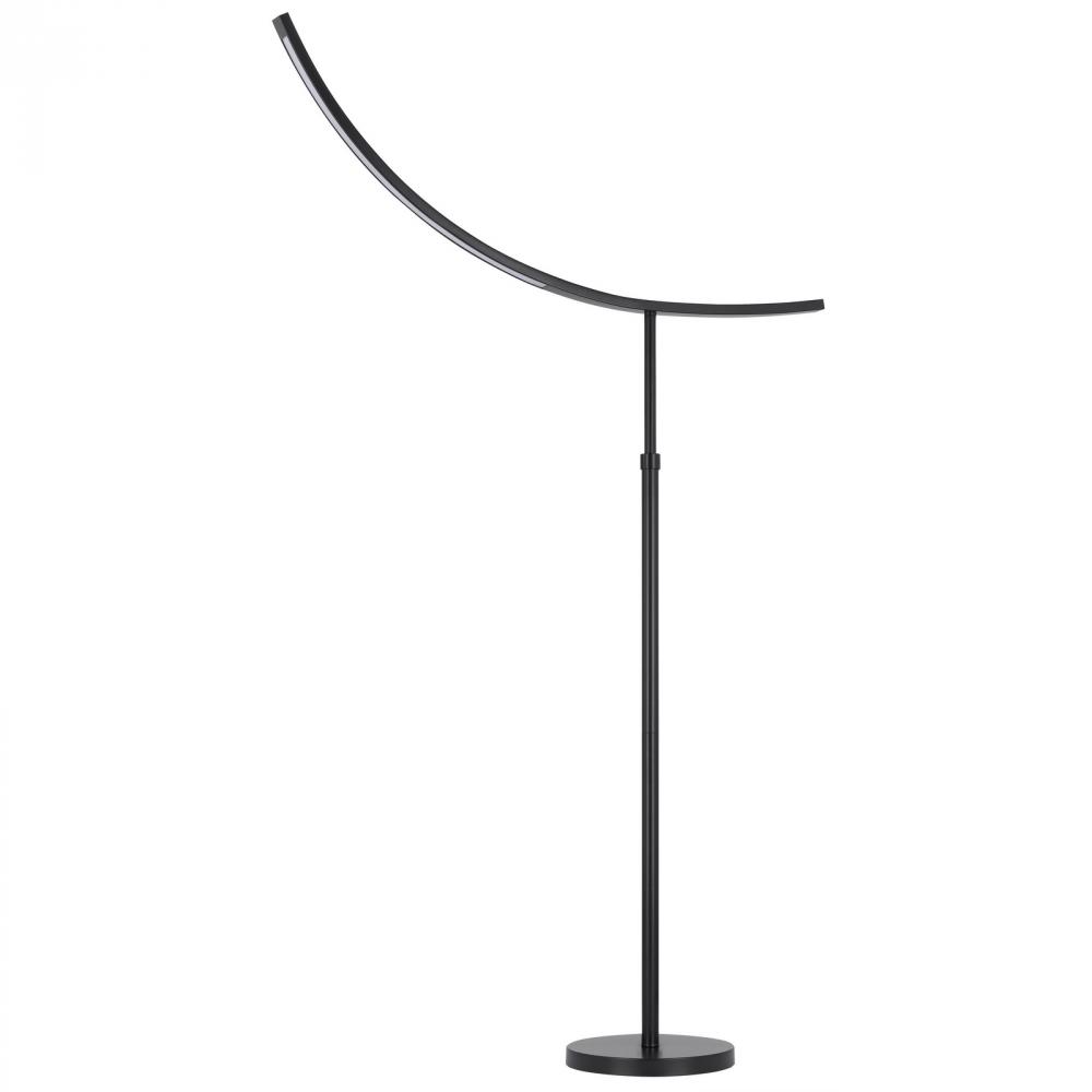 17W, 3k, 1200 Lumen Metal Integrated LED Adjustable Floor Lamp