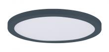 Maxim 57594WTBK - Chip-Utility Items