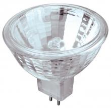 Flood Bulbs