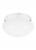 Two Light Ceiling Flush Mount