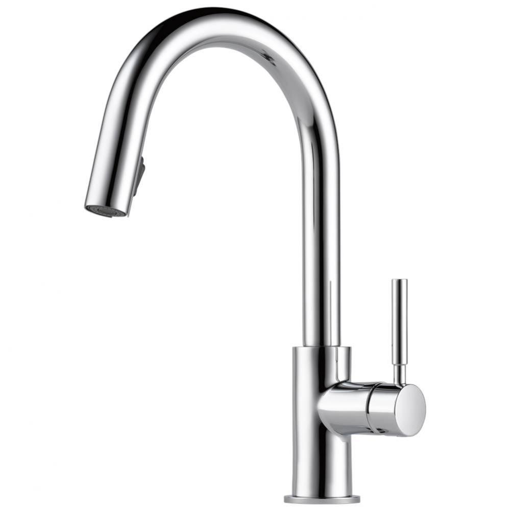 Solna&#xae; Single Handle Pull-Down Kitchen Faucet