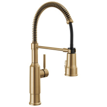 Delta Faucet 18804Z-CZ-DST - Theodora™ Single-Handle Pull-Down Spring Kitchen Faucet