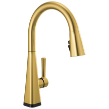 Delta Faucet 19802TLZ-GB-DST - Lenta™ Touch2O® Technology Kitchen Faucet with Touchless Technology