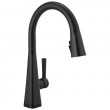 Delta Faucet 19802TZ-BL-DST - Lenta™ Single-Handle Pull-Down Kitchen Faucet with Touch2O® Technology