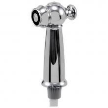 Delta Faucet RP37489 - Victorian® Side Spray & Hose Assembly