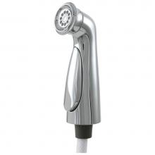 Delta Faucet RP72751 - Cassidy™ Side Spray & Hose Assembly