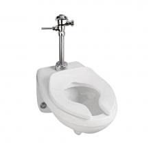 Mansfield Plumbing 130110001 - BOWL 1301 WALL WH 1.28