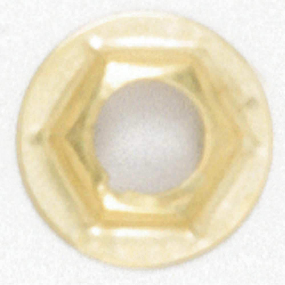 1/8 IP Palnut Brass Plated.