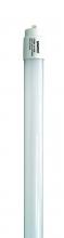 Satco S11926 - 14T8/LED/48-840/BP/120-277V
