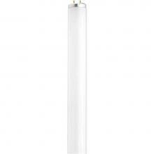 Satco S6579 - F20T12/CW/TF SHATTER PROOF