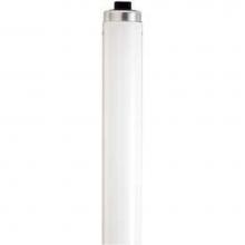Satco S6670 - F48T12/CW/HO/ECO
