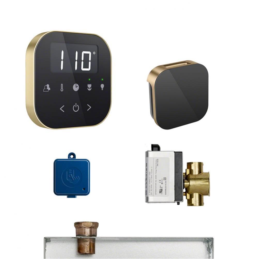 AirButler Package Black Polished Brass