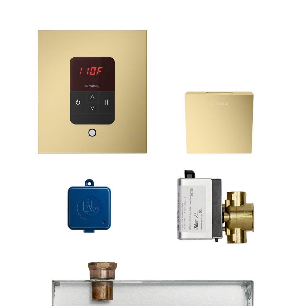 Butler Steam Shower Control Package with iTempoPlus Control and Aroma Designer SteamHead in Square