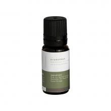 Mr. Steam 103812 - Evergreen Essential Aroma Oil in 10 mL Bottle