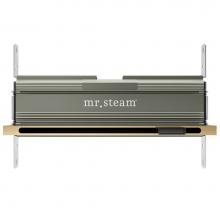 Mr. Steam 104480RAW - MrSteam Linear Steam Head 16'' with designer finish accessories in Custom Plated/Unfinis