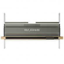 Mr. Steam 104480RAW - MrSteam Linear Steam Head 16'' with designer finish accessories in Custom Plated/Unfinis
