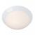 LED Flush Mount