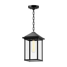 ALORA  EP552009BKCL - Larchmont 9-in Clear Glass/Textured Black 1 Light Exterior Pendant
