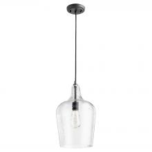 Quorum 8143-69 - 10" Clear Gls Pend - TXB