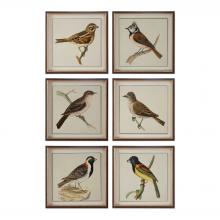 Uttermost 33627 - Uttermost Spring Soldiers Bird Prints, S/6