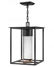 Hinkley 17022BK-LL - Large Hanging Lantern