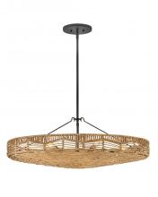 Hinkley 42303BK-NRF - Medium Single Tier Pendant